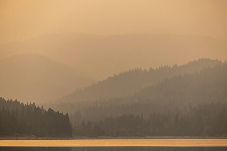 enterprise data intelligence overview