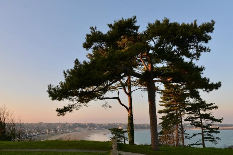 enterprise market intelligence overview